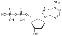Structuurformule van desoxyadenosinedifosfaat