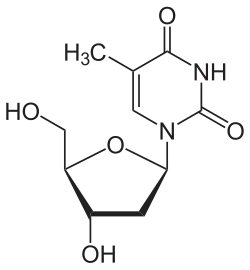 Structuurformule van thymidine