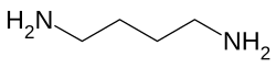 Structuurformule van putrescine