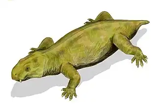 Dicynodon
