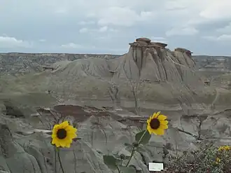 Provinciaal dinosauruspark