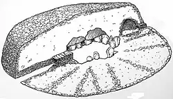 Doorsnede van de dolmen de la Pierre Tourneresse bij Cairon, Calvados