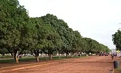 Hoofdweg in Dom Eliseu