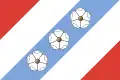Vlag