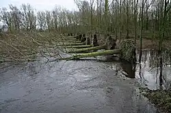 Stormschade, de Dommel (Eindhoven, 18/1/2007)