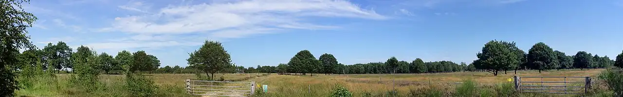 De Drover Heide, een voormalig militair oefenterrein