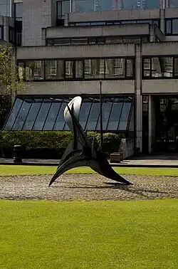 Cactus provisoire, 1967 in Dublin