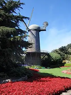 The Dutch Windmill in Golden Gate Park in San Francisco