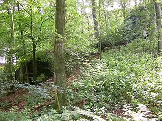 Duvensteine bij Holperdorp (vermoedelijk in de middeleeuwen  door de mens bewerkt)