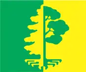 Vlag van de gemeente Paikuse