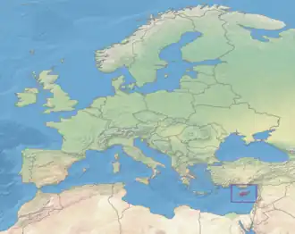 Mediterrane bossen van Cyprus