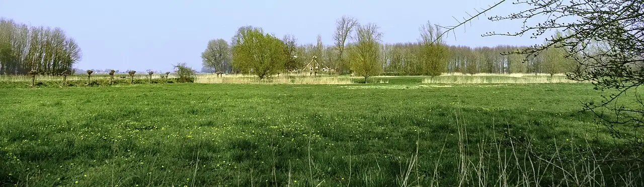 Overzicht over de wierde van Eekwerd vanuit het westen