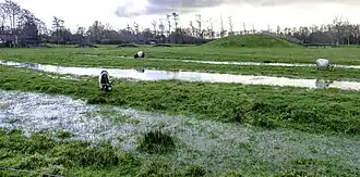 Concentrische grachten met linksachter de tussen de grachten liggende gemarkeerde heuvels en middenachter de burchtheuvel