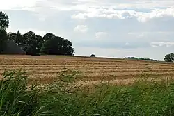 De wierde van Eelswerd in de zomer