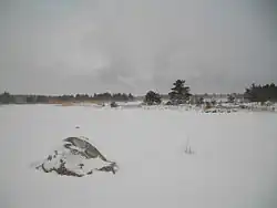 Eeriksaare in de winter