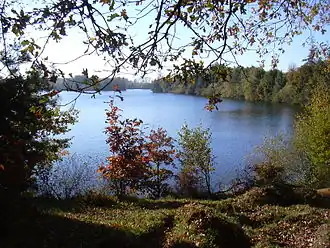 Effelder Waldsee
