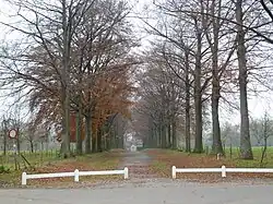 Oprijlaan van het kasteel gezien vanaf "De Wiette Päölkes"