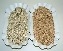 Aartjes en graankorrels