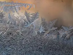 IJsbloemen tegen een vensterruit.