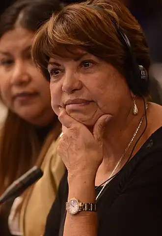 Elena Reynaga (2017), Daniel Cima/CIDH