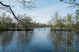Het Elsburger Onland gezien vanaf de Groningerweg