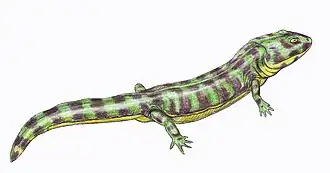 Enosuchus