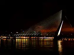 De Erasmusbrug bij avond