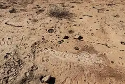 Gespleten hoefafdrukken