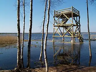 Het meer Ermistu järv