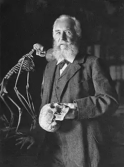 Ernst Haeckel gefotografeerd door Nicola Perscheid