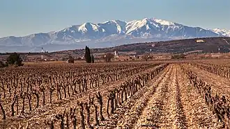 Gezicht op Espira-de-l'Agly, op de achtergrond de Pic de Canigou