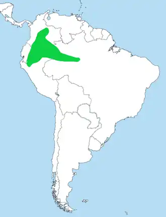 Citroenkeelbaardvogel