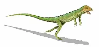 Eudibamus (Bolosauridae)