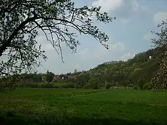 Oeverland langs de Saale met Eulau op de achtergrond