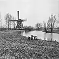 Molen aan het Gein