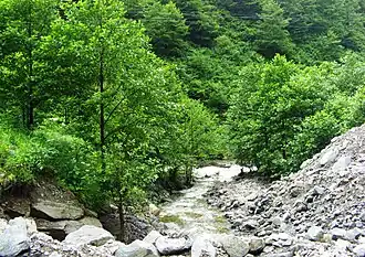 De rivier in het Pontisch Gebergte