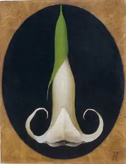 Datura, 1997