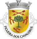 Vlag van Figueira dos Cavaleiros