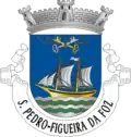 Vlag van São Pedro