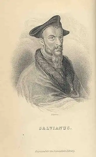 Portret van Salviani in The Naturalist's Library vol. 35, onmiskenbaar gebaseerd op zijn portret op de titelpagina van Aquatilium animalium historiaePortret op titelpagina van Aquatilium animalium historiae. Gearchiveerd op 6 februari 2021.