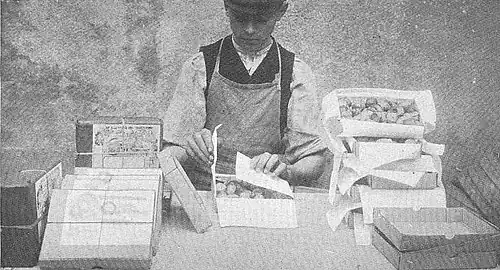 Verpakking van het eindproduct (1)