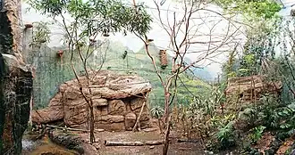 Het regenwoudgebouw (Jungla) van Faunia