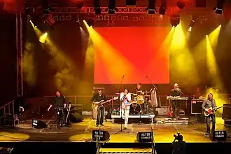 Optreden van Fehlfarben in Würzburger Hafensommer, Augustus 2010.