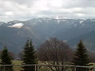 Feldberg in het Zwarte Woud.