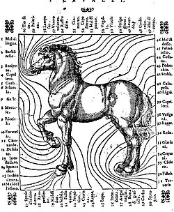 Cesare Fiaschi, tekening van een barokpaard, 1603