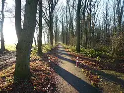 Fietspad langs de Vijftig Bunder