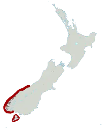 Fjordlandkuifpinguïn