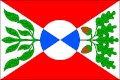 Vlag