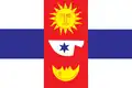 Vlag
