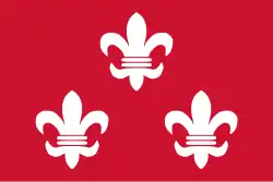 Vlag van de gemeente Beverwijk